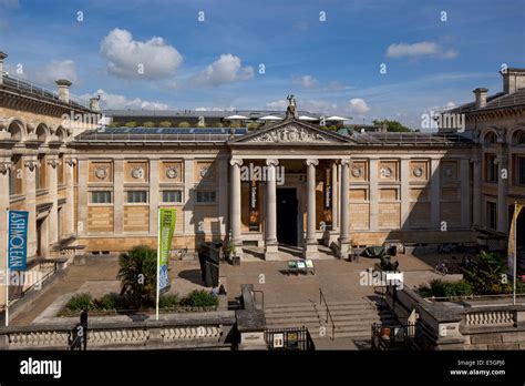 english city site of the ashmolean museum|English city site of the Ashmolean Museum CodyCross Answer.